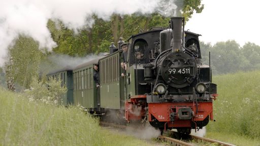 Dampflok 994511 zieht historische Waggons des Prignitzer Kleinbahnmuseums auf der Museumsstrecke von Mesendorf nach Vettin (Quelle: imago)